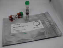 Load image into Gallery viewer, BenBio DNA Gel Stain