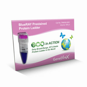 BlueRAY Prestained Protein Ladder（10 to 180 kDa）