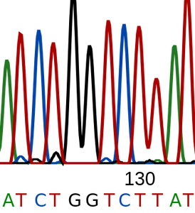 Next Generation Sequencing (Sanger, NGS and Metagenomics) 