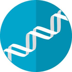 DNA Oligonucleotides Synthetic (Primers) - Beneficial.bio